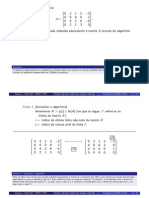 Transformacao em Escada Reduzida v2.0 Estatico