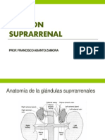 Función- Suprarrenal