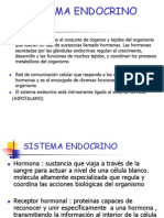 Sistema Endocrino