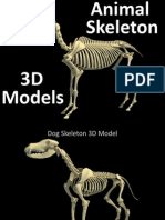 Animal Skeletons 3D Model