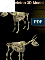 Cow Skeleton