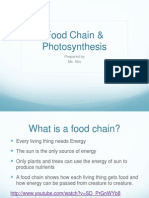 Lecture on Food Chains, Photosynthesis and Respiration