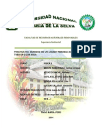 Informe 02