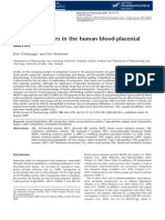 Drug Trasporters in The Human Blood-Placental Barrier