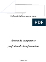 Atestat La Informaica-Aplicatia Struct