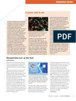 Nanopartikel For Brain PDF