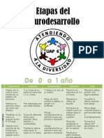 Etapas Del Neurodesarrollo Clase Completa