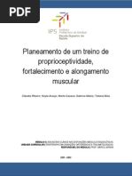 Um programa de propriocetividade, fortalecimento e alongamento - Fisioterapia em Condições Ortopedicas e Traumatologicas.pdf