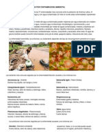 enfermedadesocasionadasporcontaminacionambiental-120913164954-phpapp02