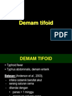 Pleno Demam Tifoid 2010