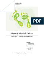 Huella de Carbono PDF