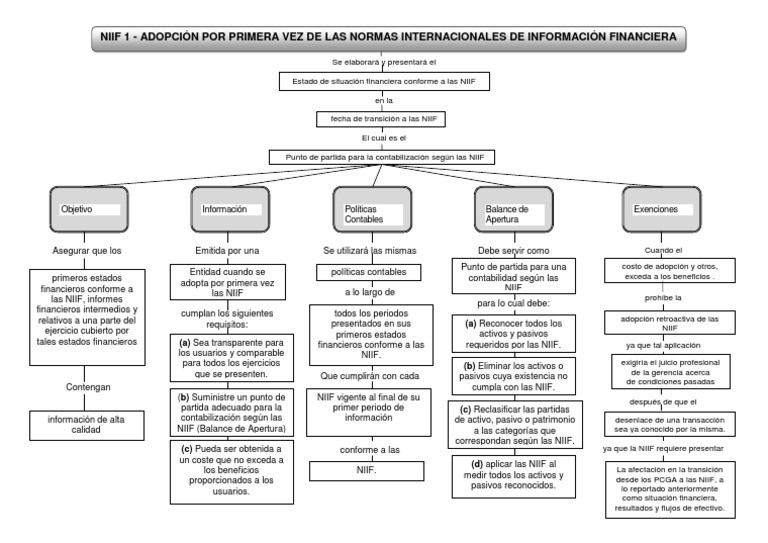 NIIF 1 Mapa Conceptual