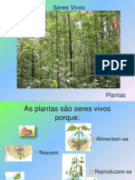 Seres Vivos - Plantas