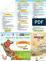 Triptico PAF PDF