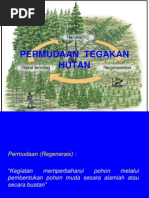 Download 5-Permudaan Hutan by Ir Manto SN230465861 doc pdf