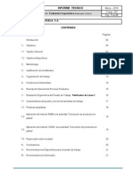 Informe Modelo Analisis Ergonomico de Puesto de Trabajo