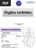 Órgãos linfóides