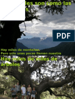 PRESENTACIÓN+1.+Árboles+Monumentales+ASM