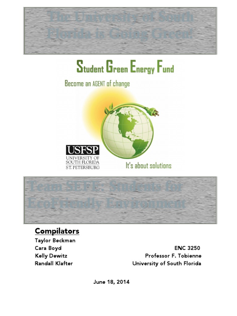 Sefe Final White Paper | PDF