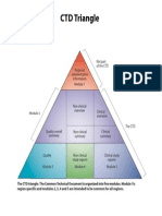 CTD Triangle: Regional Administrative Information Not Part of The CTD