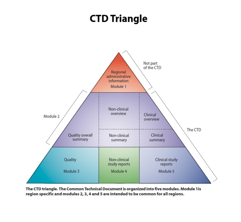 CTD Triangle: Regional Administrative Information Not Part of The CTD ...