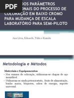 Estudo Dos Parâmetros Operacionais Do Processo de Coloração