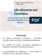 Intoxicação Alimentar Por Clostrídios2