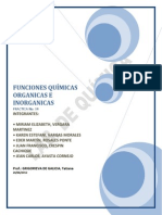 99686293 Funciones Quimicas Inorganicas
