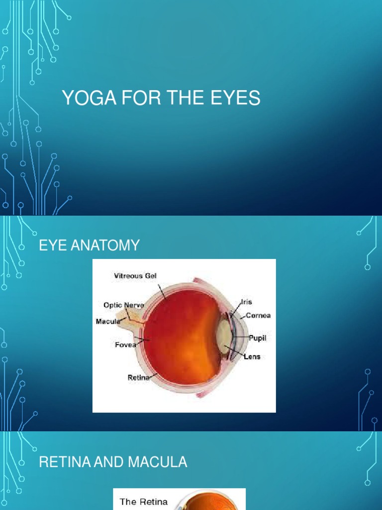 Yoga For The Eyes Pdf Eye Human Eye