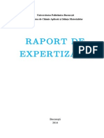 Raport Expertizare