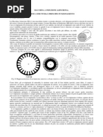 Free Pdf Downloads E Books