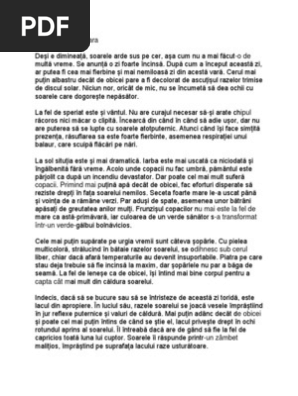 Compunere prietenul este al doilea eu
