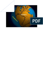 Sismica Pangea