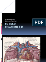 SC Besar Ekg