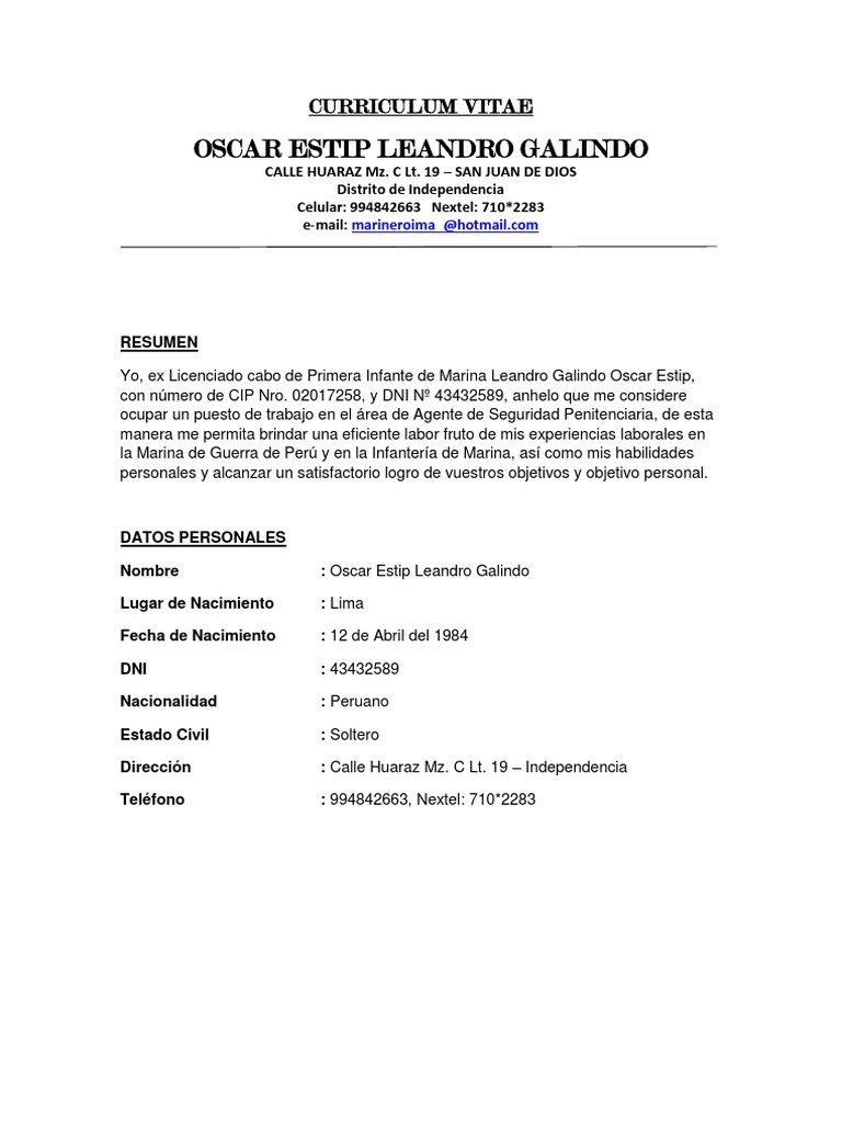 Curriculum vitae examples pdf picture