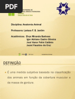 AP-Escore Corporal.pdf