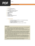 Resumo 12º Ano Português.docx