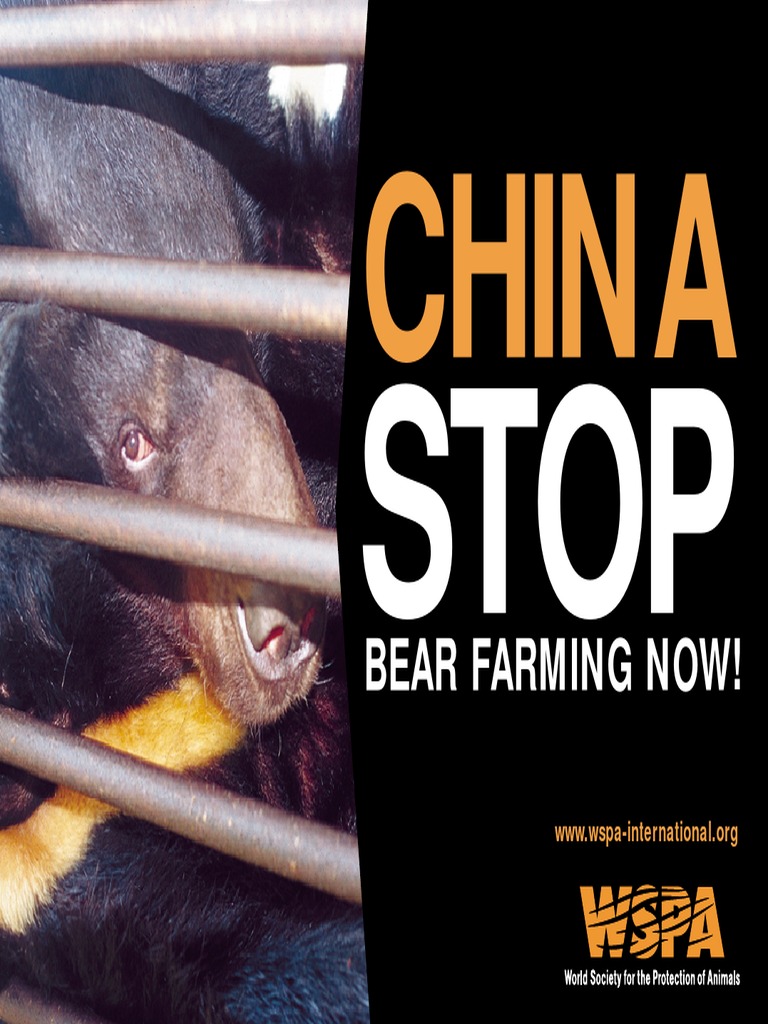 End Bear Farming in China Now! | PDF | Bears | Caniforms