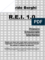 R.E.I. 1.0