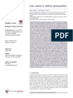 From Natural to Artificial Photosynthesis: A Review of Biological Energy Conversion