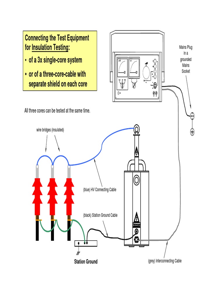 Insulation Resistance Testing Guide | PDF