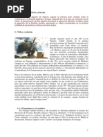 Aurelio Agustin de Hipona