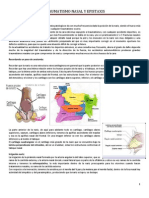 Clase 5°-Traumatismo Nasal y Epistaxis