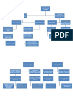 Mapa Conceptual Desarrollo Humano