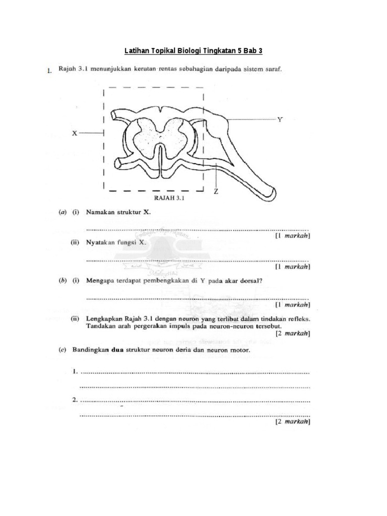 Biologi Cikgu Azrie Sbpi Sabak Bernam Com