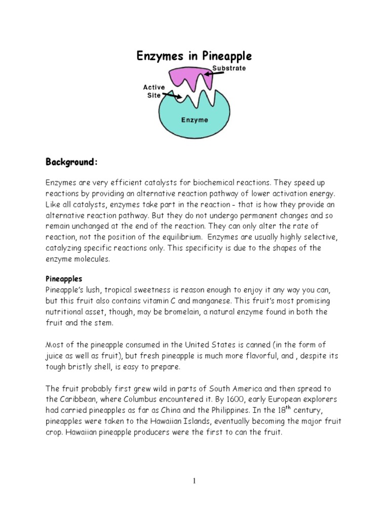 Pineapple Enzyme Lab PDF Gelatin Collagen