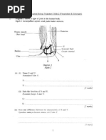 Download Latihan Topikal Biologi Tingkatan 5 Bab 2 by Pusat Tuisyen Celik Jaya SN230676666 doc pdf