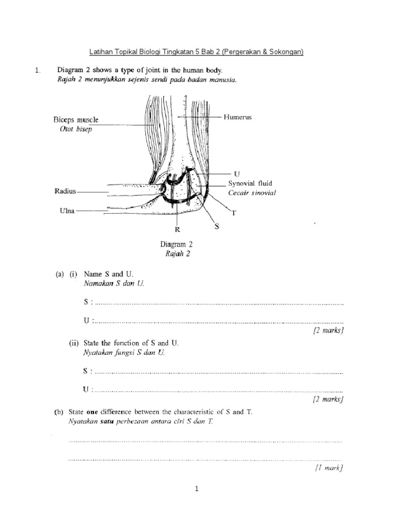 Soalan Biologi Tingkatan 4 Topikal - Persoalan x