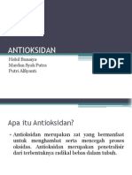 Antioksidan (Haccp)