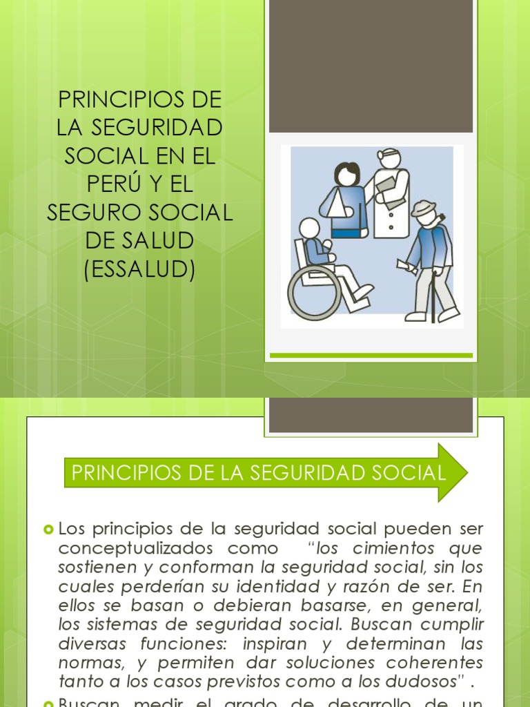 PRINCIPIOS DE LA SEGURIDAD SOCIAL visual data 3